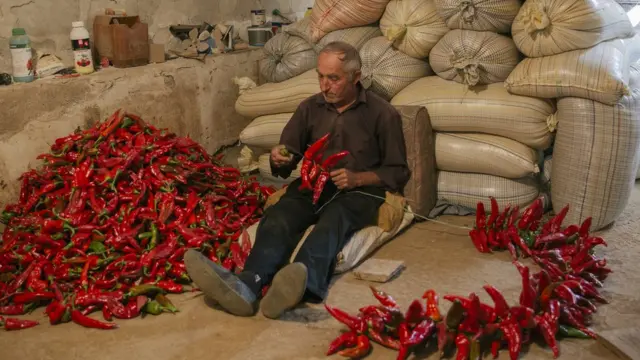 Svake godine u septembru se održavaju „Dani paprike“.