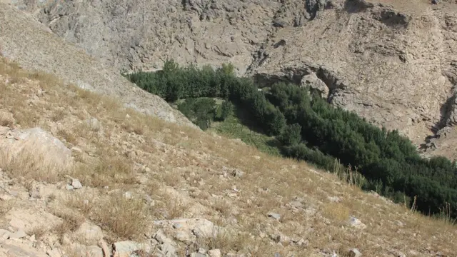افغانستان
