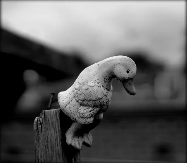 Escultura de un pato