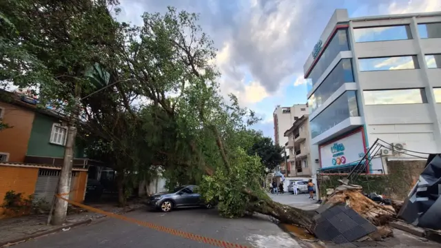 Árvore caída em cima de carro em São Paulo