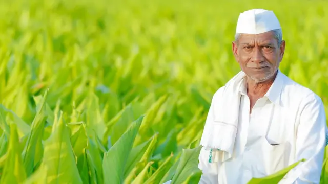 शेतकरी