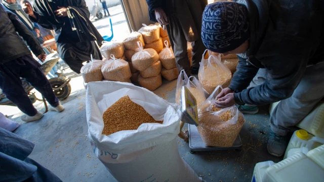 KABUL, AFGHANISTAN -- JANUARY 13: Lentils are weighed out as Afghans collect a monthly ration of staple food - flour, lentils, oil and salt - to stave off impending famine from a UN World Food Program distribution point in the Jaie Rais district of western Kabul, on January 13, 2022 in Afghanistan. The WFP warns that 98% of Afghans are not getting enough to eat, due to a severe drought, the onset of winter, and the collapse of the economy and and freezing of Afghan and donor funds after the Taliban takeover of the country in August, 2021. The UN has made an emergency appeal for $5.5 billion to feed the hungry and forestall further economic collapse. (Photo by Scott Peterson/Getty Images)
