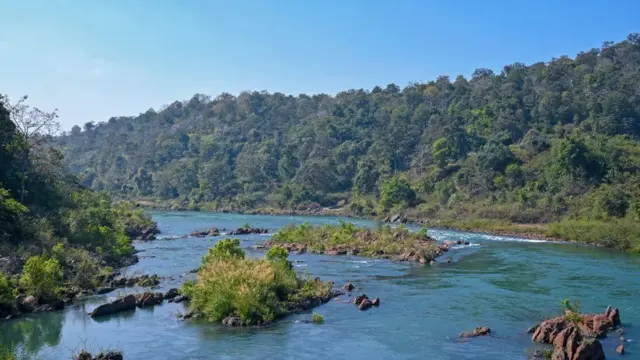 హస్దియో అరణ్య ప్రాంతం