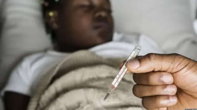 डेंग्यूः चमत्कार, एका बॅक्टेरियामुळे डेंग्यू नष्ट होणार?