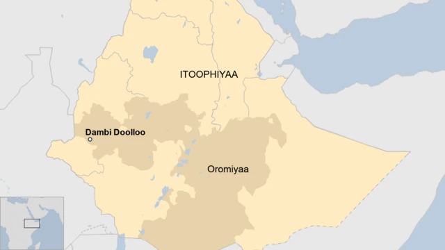 Dambi Doolloon magaalaa guddoo Godina Qeellam Wallaggaati