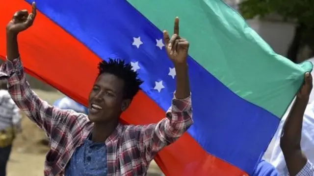 Демонстрант із прапором