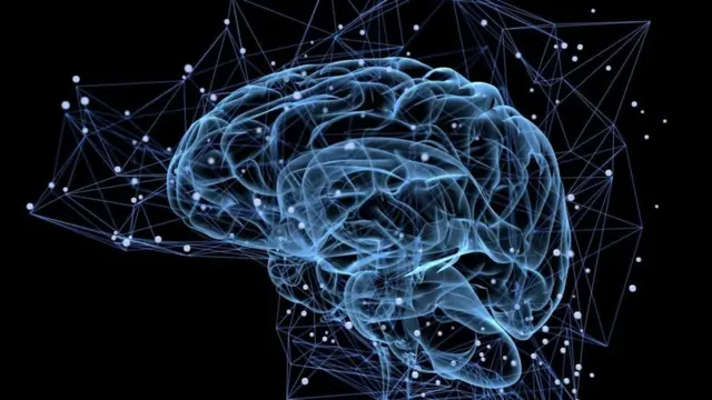 Brain