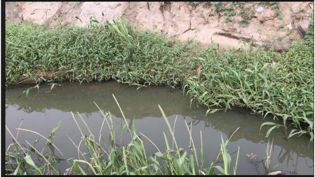 unicef say bad water dey cause pikin to sick