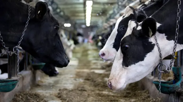 根据协定，美国农夫将可以进入加拿大的农产品市场，但这引来加拿大农民的不满。