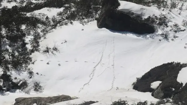 हिममानवाच्या पावलाचे कथित ठसे