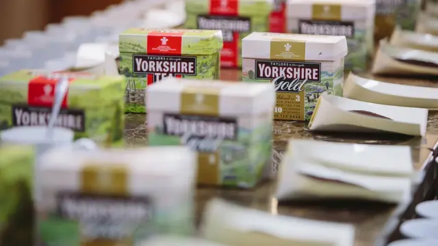 Shaaha Yorkshire