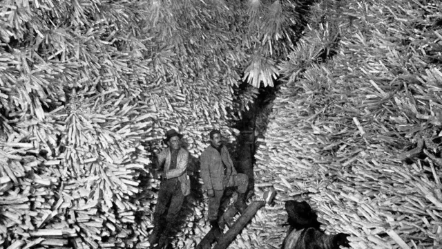 Cristales en la cueva de Naica