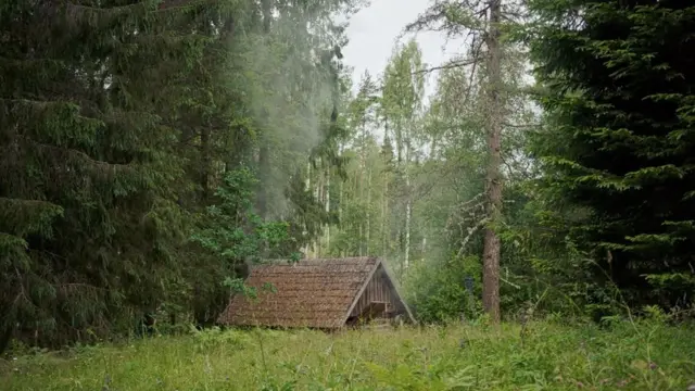 숲속의 사우나 시설에서 연기라 피어오른다