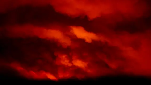 अमेरिका के जंगलों में आग