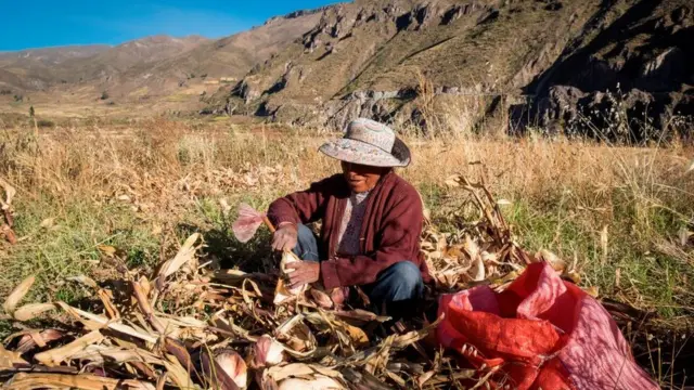 Campesina en Perú.