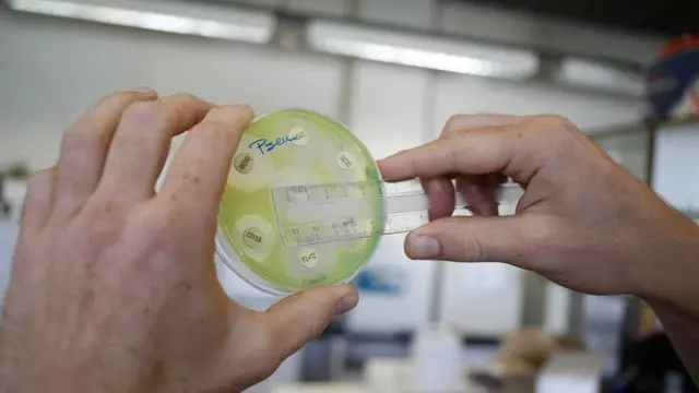 लैबोरेटरी