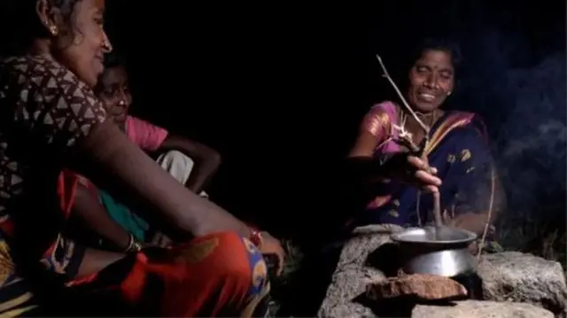 خواتین جنگل میں کھانا پکا رہی ہیں