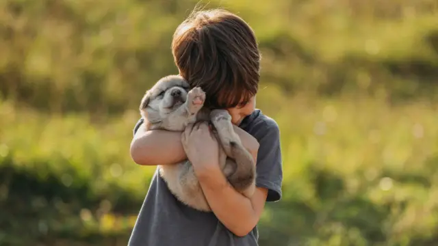 ছয়-সাত বছর বয়সী একটি শিশু কুকুরছানাকে ধরে রেখেছে