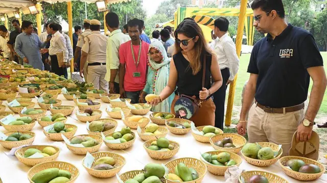 आम महोत्सव