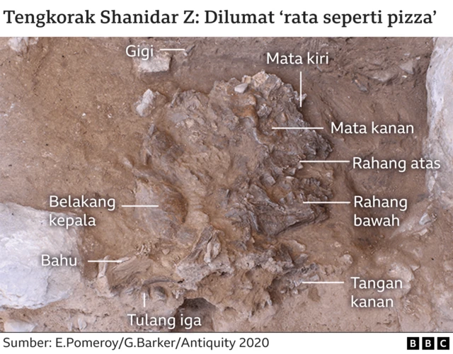 Tengkorak Shanidar Z