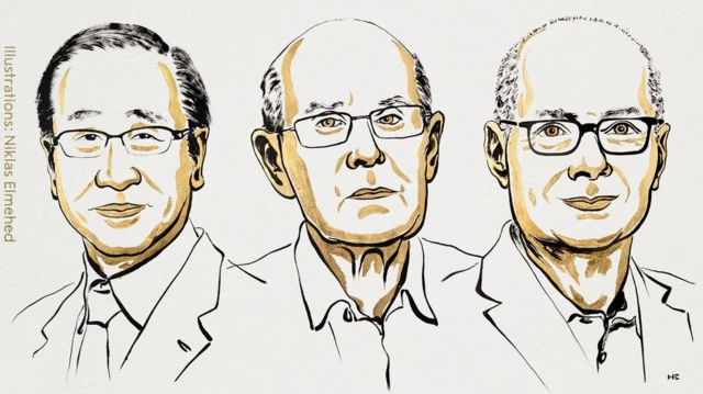 Susumu Kitagawa, Richard Robson ve Omar M. Yaghi'nin illüstürasyonu