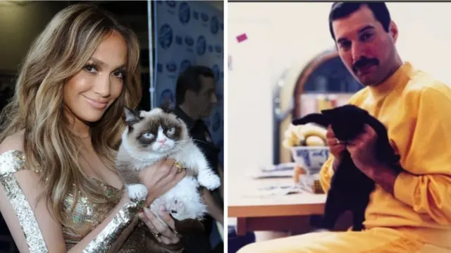 فِرِدی مرکوری و جنیفر لوپز با گربه‌های محبوب‌شان