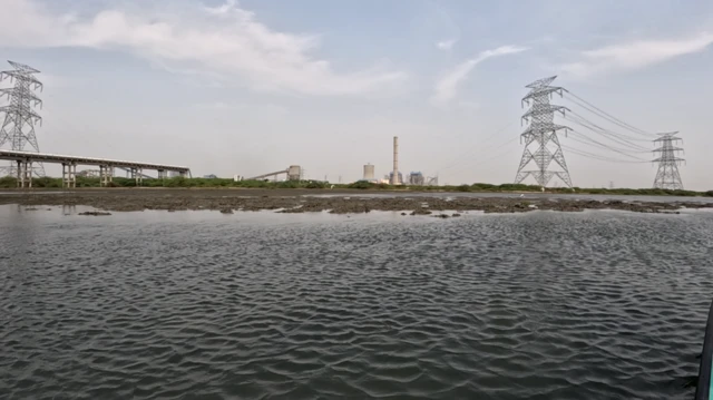 தமிழ்நாடு: மீனவர்களை ஆபத்தில் தள்ளும் கடல் உயிரினம் – அமெரிக்க கப்பலில் சென்னை வந்ததா?