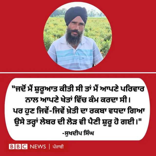 ਫੁੱਲਾਂ ਦੀ ਖੇਤੀ