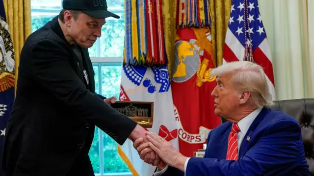 Маск и Трамп