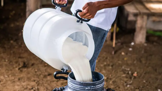 milk દૂધ મંડળી બનાસકાંઠા
