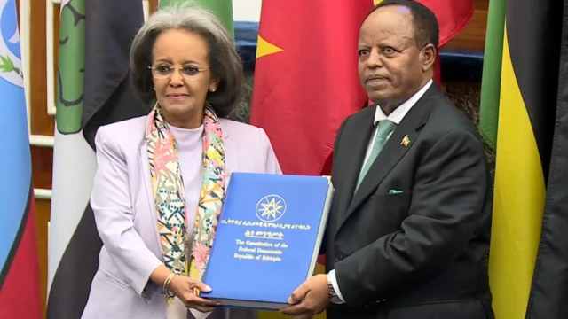 ሳህለወርቅ ዘውዴ ትማሊ ፕረዚደንትነት ሰኑይ ንኣምባሳደር ታየኣፅቀስላሴ ኣረኪባ። 