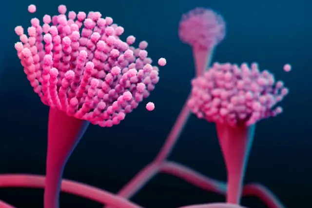 प्रातिनिधिक फोटो