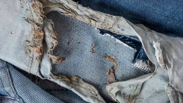 Обгоревшие от удара молнии джинсы Хаиме Сантаны