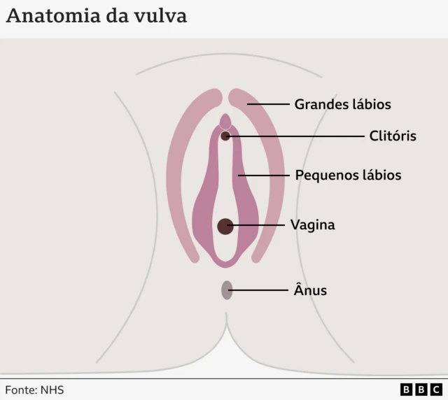 Ilustraçãodicas para apostar futebol hojegenitalia feminina