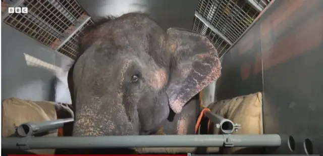 ముత్తు రాజా 