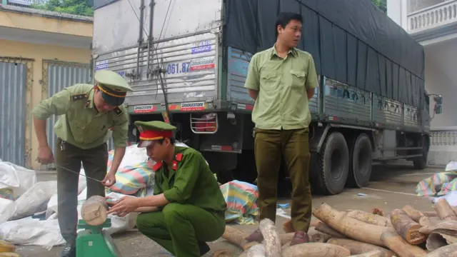 Buôn lậu ngà voi