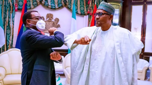 "Ngozi Okonjo-Iweala WTO"