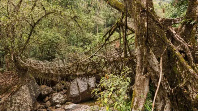 سیاحوں کی دلچسپی کا سامان