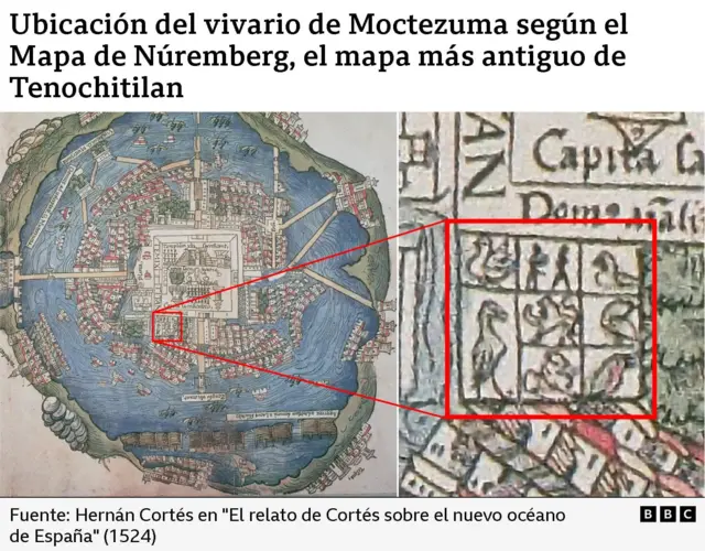 El mapa de Núremberg de 1524, con un acercamiento al vivario de Moctezuma representado por varios animales y personas