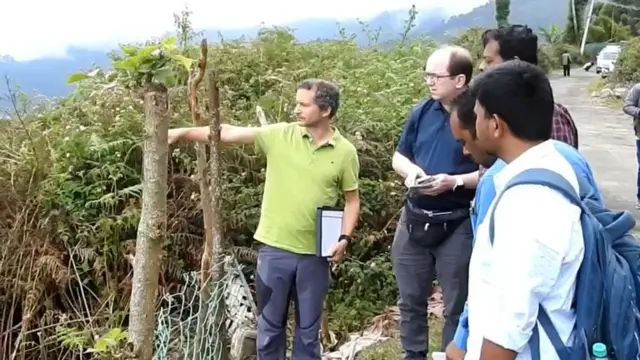 வல்லுநர் குழு ஆய்வு