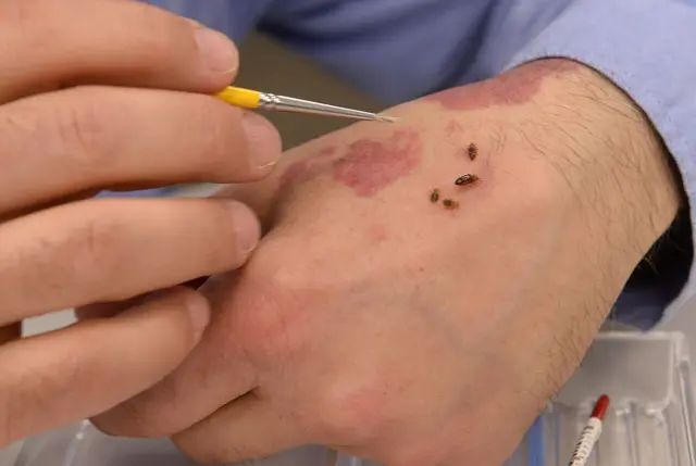 પ્રતીકાત્મક તસવીર