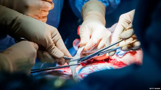 गर्भनाल