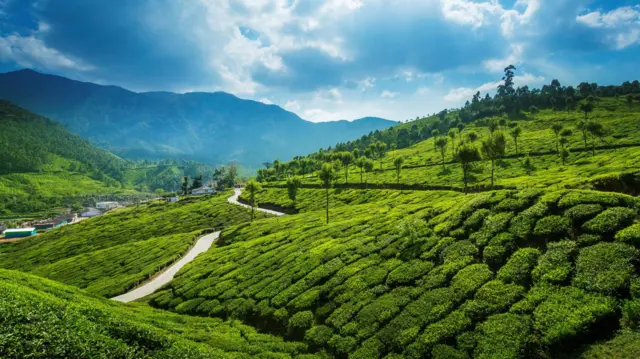 మున్నార్