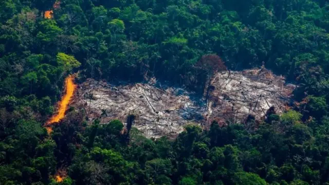 Vue d'une forêt avec au milieu un vide laissé par des bois coupés