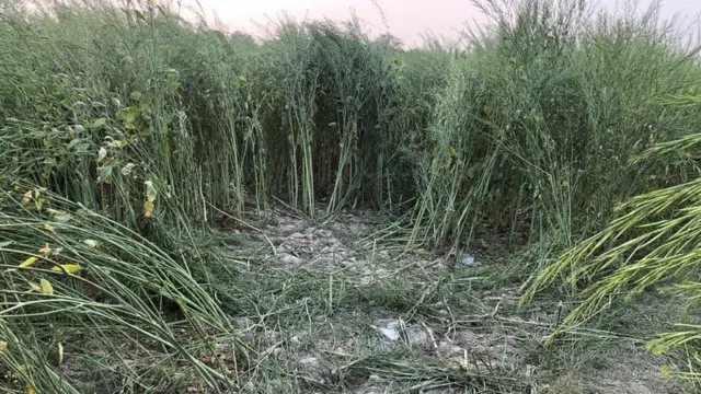 જ્યાંથી છોકરીઓ મળી આવી એ જગ્યા