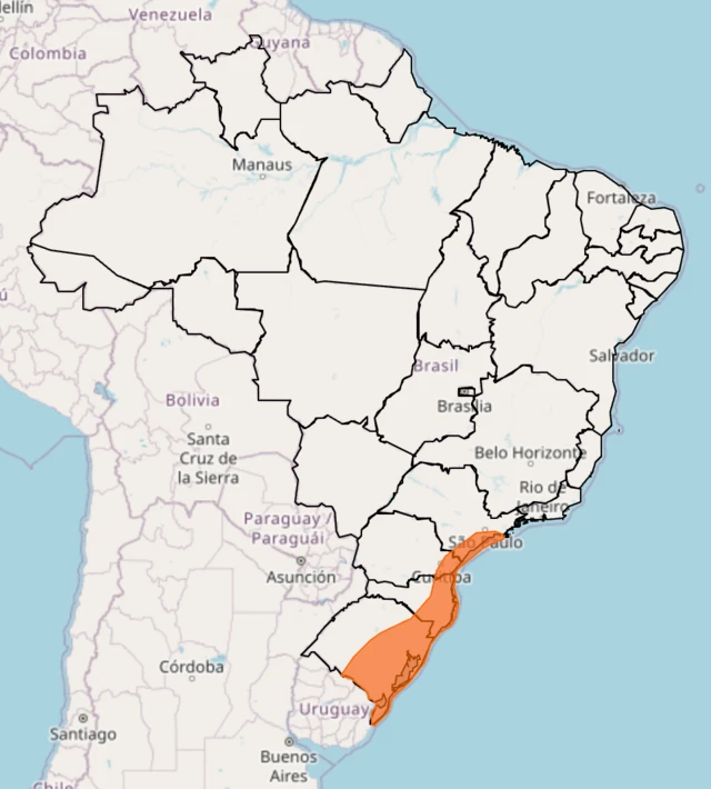 O mapa do Brasil destaca, em laranja, uma faixa contínua ao longo do litoral das regiões Sul e Sudeste. A área sombreada se estende do litoral sul de São Paulo, passando pelo Paraná e Santa Catarina, até o litoral do Rio Grande do Sul, indicando a região abrangida pelo fenômeno ou alerta representado no mapa.