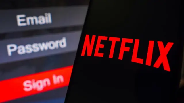 netflix logosu