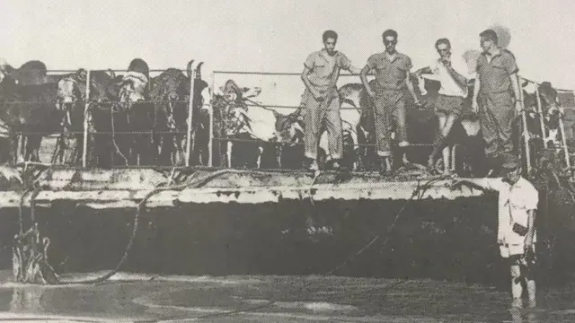 કૃષ્ણકુમારસિંહ, ભાવનગર, બીબીસી ગુજરાતી