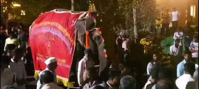 હાથી, મહારાષ્ટ્ર, બીબીસી, ગુજરાતી