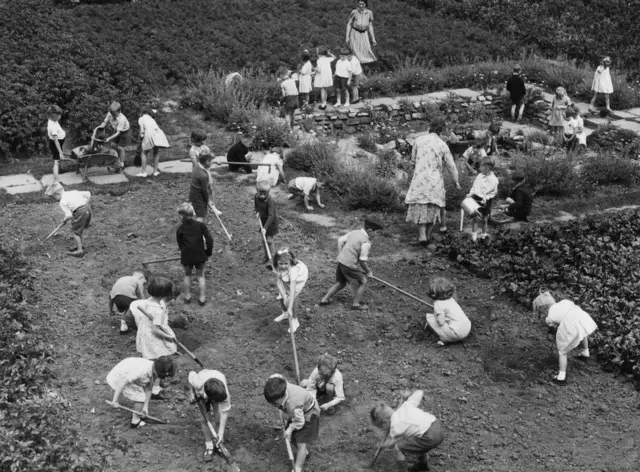 1940ల్లో ఆహార కొరతను అధిగమించటం కోసం స్కూలు పిల్లలకు కూడా ఇలా వ్యవసాయం నేర్పేవారు
